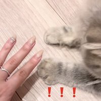 おててを開き始める凪ちゃん