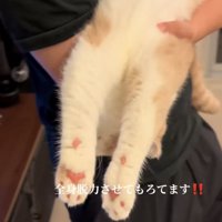 「全身脱力させてもろてます」のテロップ写真2