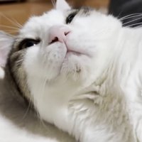 目を開けた顔のアップ