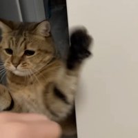 両前足を上げて