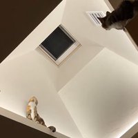 みんなで一点集中・別アングル