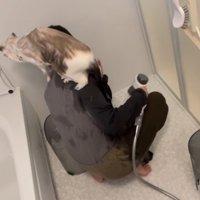 背中に乗り込む猫