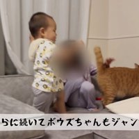 ボウズちゃんもジャンプ