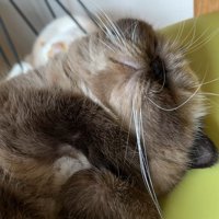 顔のアップ