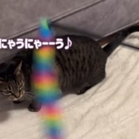 にゃうにゃーーう♪