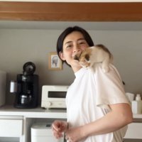 女性の肩の上で方向転換する子猫