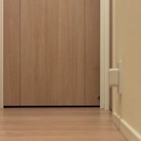 ドアにかかる猫の手