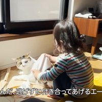 子どもと一緒にいる猫