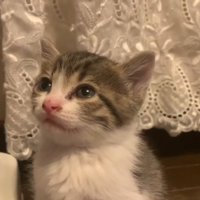 とろんとした表情