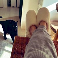 身をすくめてスリッパを凝視する黒猫