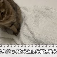 「ひざかけを使ってたら...」のテロップ写真