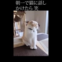 左を向く姿