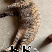現在の専務ママ