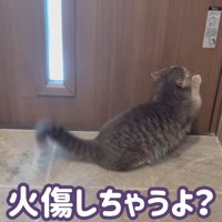 火傷しちゃうよ？