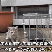 「とあるお宅の...」のテロップ写真