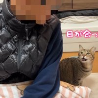 目が合ったー