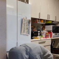 冷蔵庫の上に座っている猫とそれを見ている人