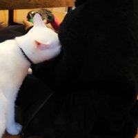 顔を埋めて