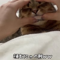 顔むにゅされるみにらくん%％顔むにゅされるみにらくん