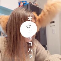 肩に乗った猫