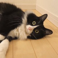 階段の上のチコちゃん