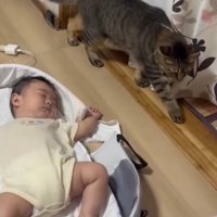 寝ている赤ちゃんと猫