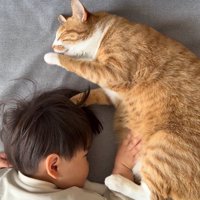 子供と向かい合って寝転がりながら左前足を舐めている猫