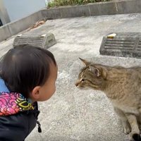 男の子の顔に近づく猫