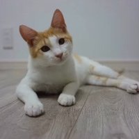 成長後の凛々しい善くん