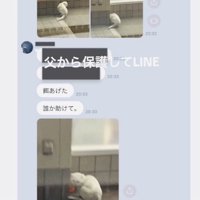 お父さんから送られてきたメッセージと写真