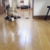 歩いて行く後ろ姿