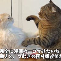 横からパンチし合う写真