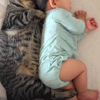 そっくりな寝相をして眠る猫と赤ちゃん