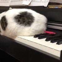 後ろ姿