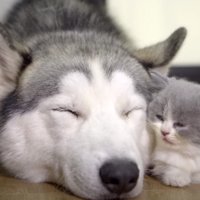 一緒に眠るおふたり