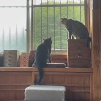 窓の前