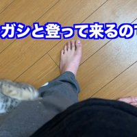 ガシガシと(さらに近くに)