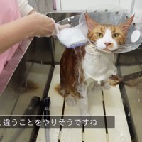 いつもと違うこと