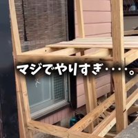 組み立て中の木材