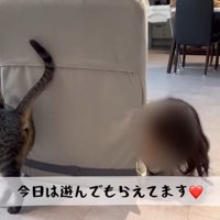 テロップ「今日は遊んでもらえてます」