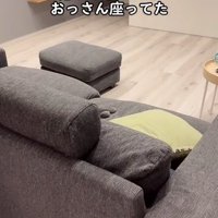 猫の足