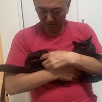 横向きに抱っこされる猫の写真1