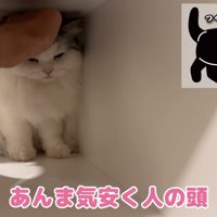 嫌がるつくしちゃん