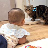 汗