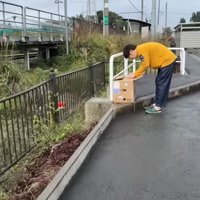 ダンボール箱をのぞく人