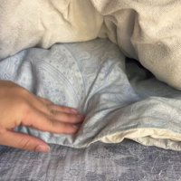 布団に隠れる猫