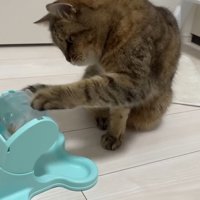 回す姿(斜め前から)