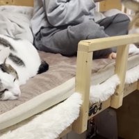 豆大福くんと秀吉くん