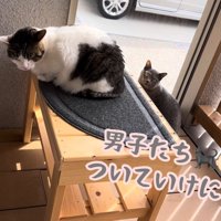 テロップ「男子たちには～」