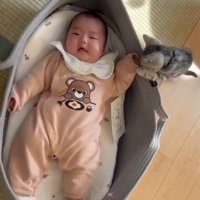 ベビーベッドで寝ている赤ちゃんの手にふれる子猫